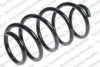 VW 3C0411105S Coil Spring